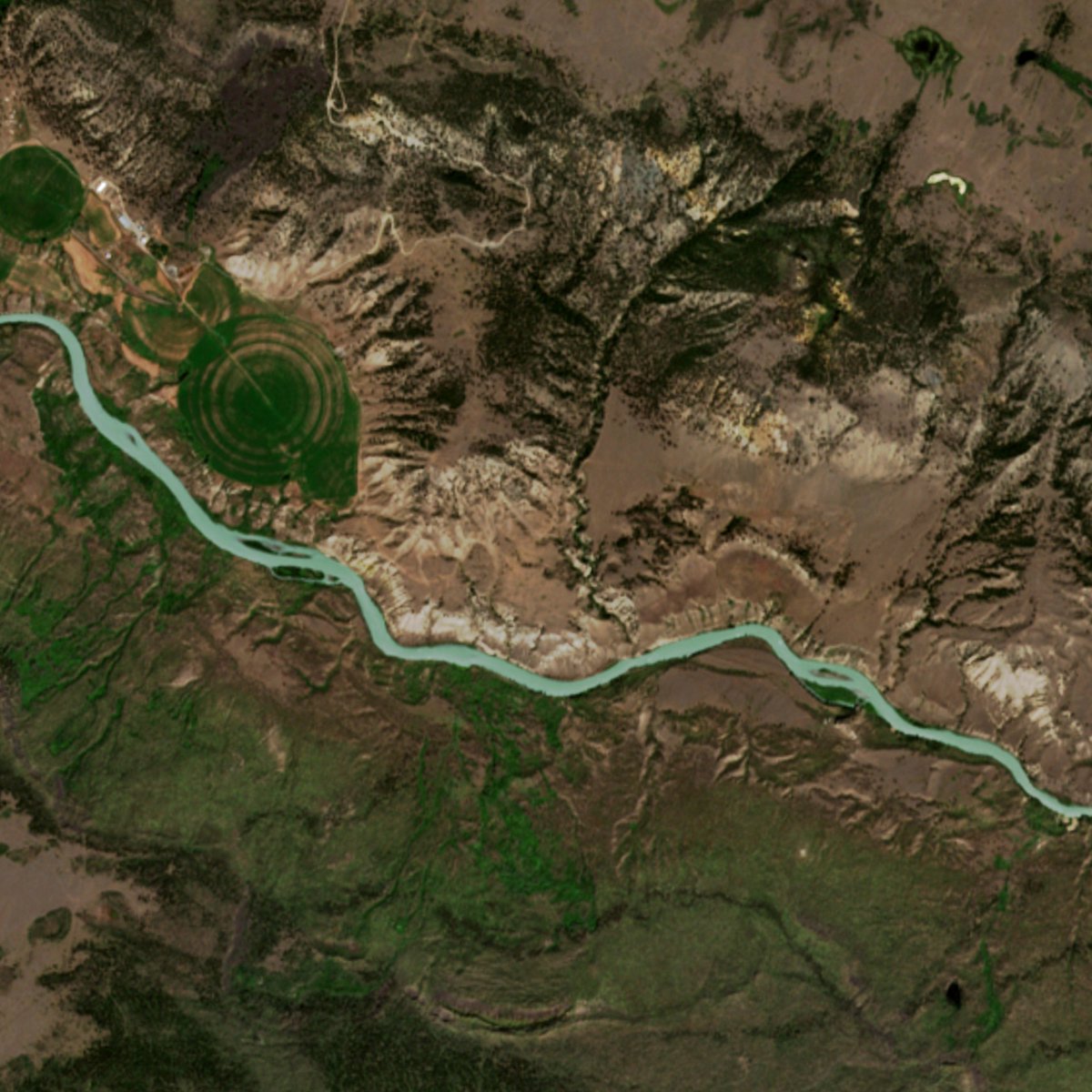 Canadian Space Agency tweet media