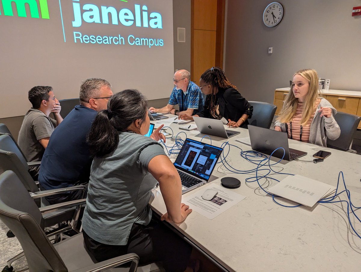 Using the analysis tools we've learned so far at #IALSJanelia, our teams are hard at work designing their own analysis workflows to test a biological hypothesis.
