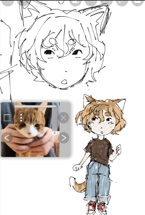 hice este pipo basado en 1 gatito bn lindo!!!1