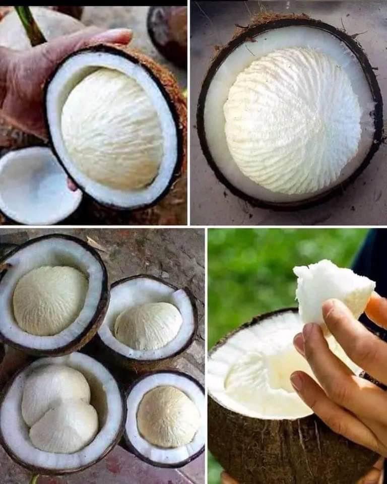 Kebe bhagya re emti nadiya milichi?