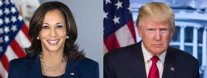 InteractivePolls tweet media