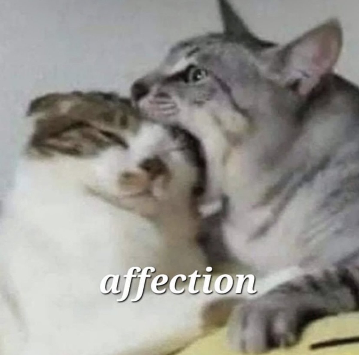 ㅤ