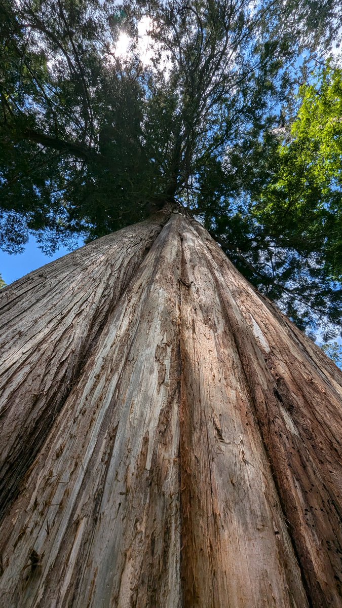 guillermayo's tweet photo. @earthcurated https://t.co/aoVg9RAxel