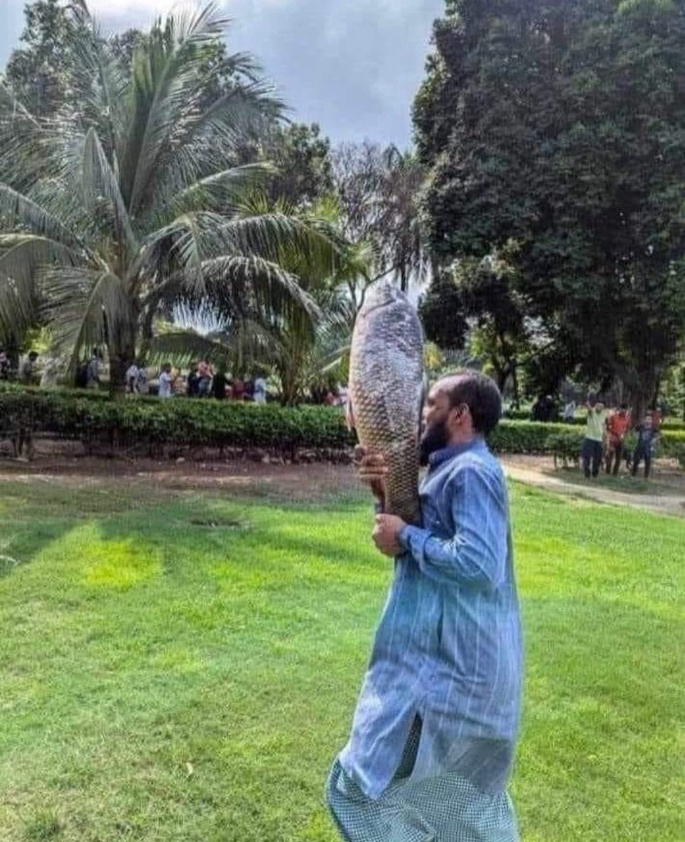 As a Bengali, I feel entitled to say that this image -- of a man plundering a large fish from the deposed prime minister's residence -- is one of the most Bengali pictures of all time