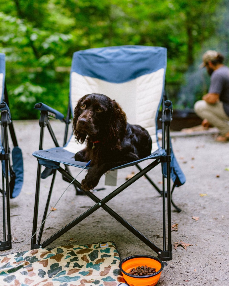 klymit's tweet photo. Everypawdy deserves a nice seat after a long day ๐พ
Check out our Switchback Reclining Chair, 25% off!
https://t.co/HN5MroPwCm
#Klymit | #SleepOutside https://t.co/HBcwmA1nFa