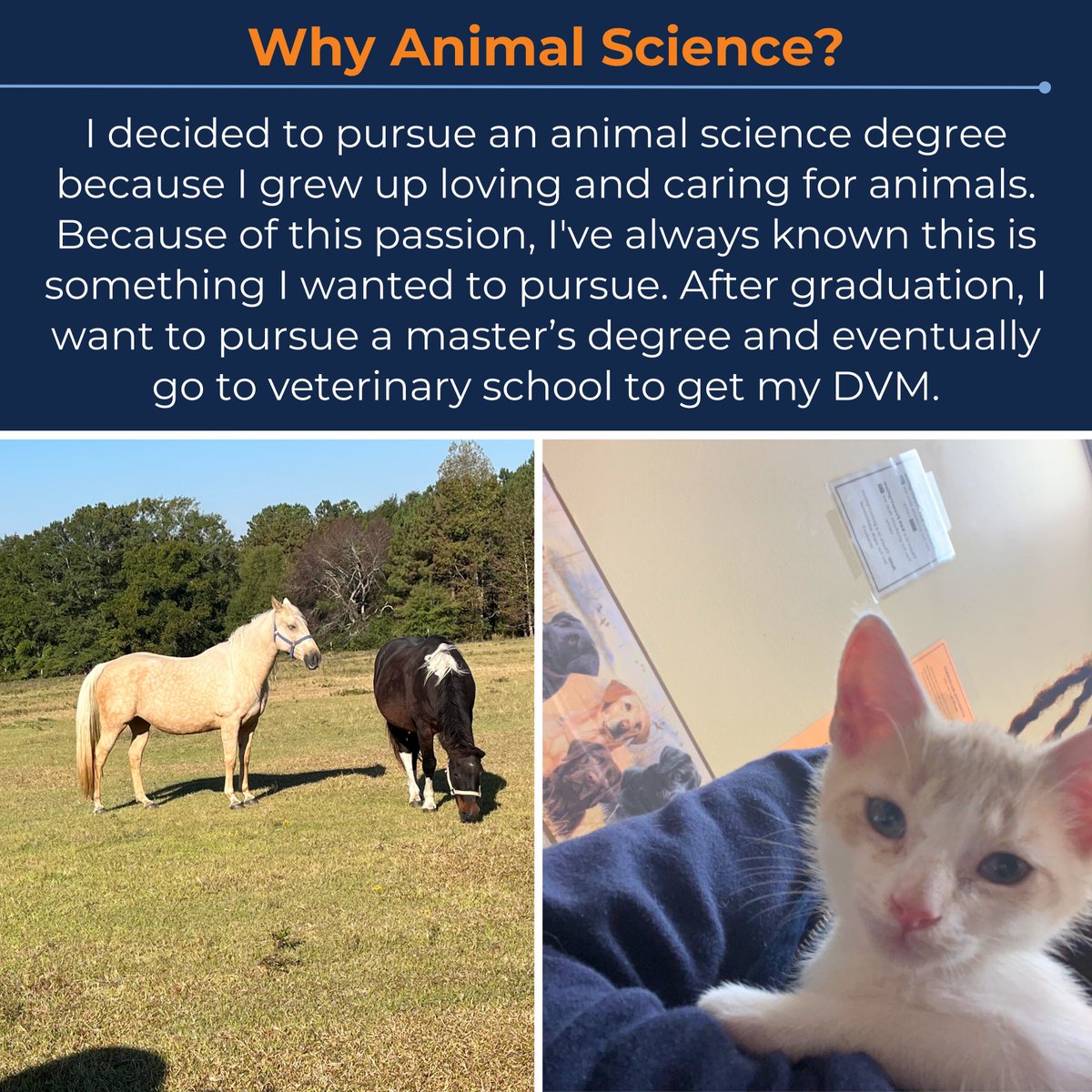 Illinois Center for Digital Agriculture tweet media