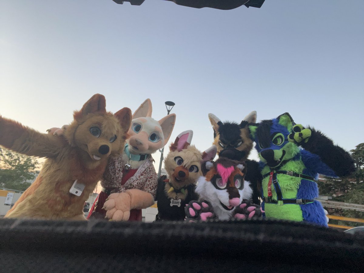 Had a great time with my friends at Impact last weekend! 🎷🧡🎷

<a href="/chickaspree/">Chickaspree</a> 
<a href="/Smol_Shepherd/">🌲Honey🌧@LVFC</a> 
<a href="/raccoonsnuggles/">✿ Missy ✿</a> 
<a href="/SkunkerPuppy/">🔥That Emo Skunky Shep🔥</a> 
<a href="/toxxicace/">Ace</a> 

#fursuit #fursuiter #furrycommunity