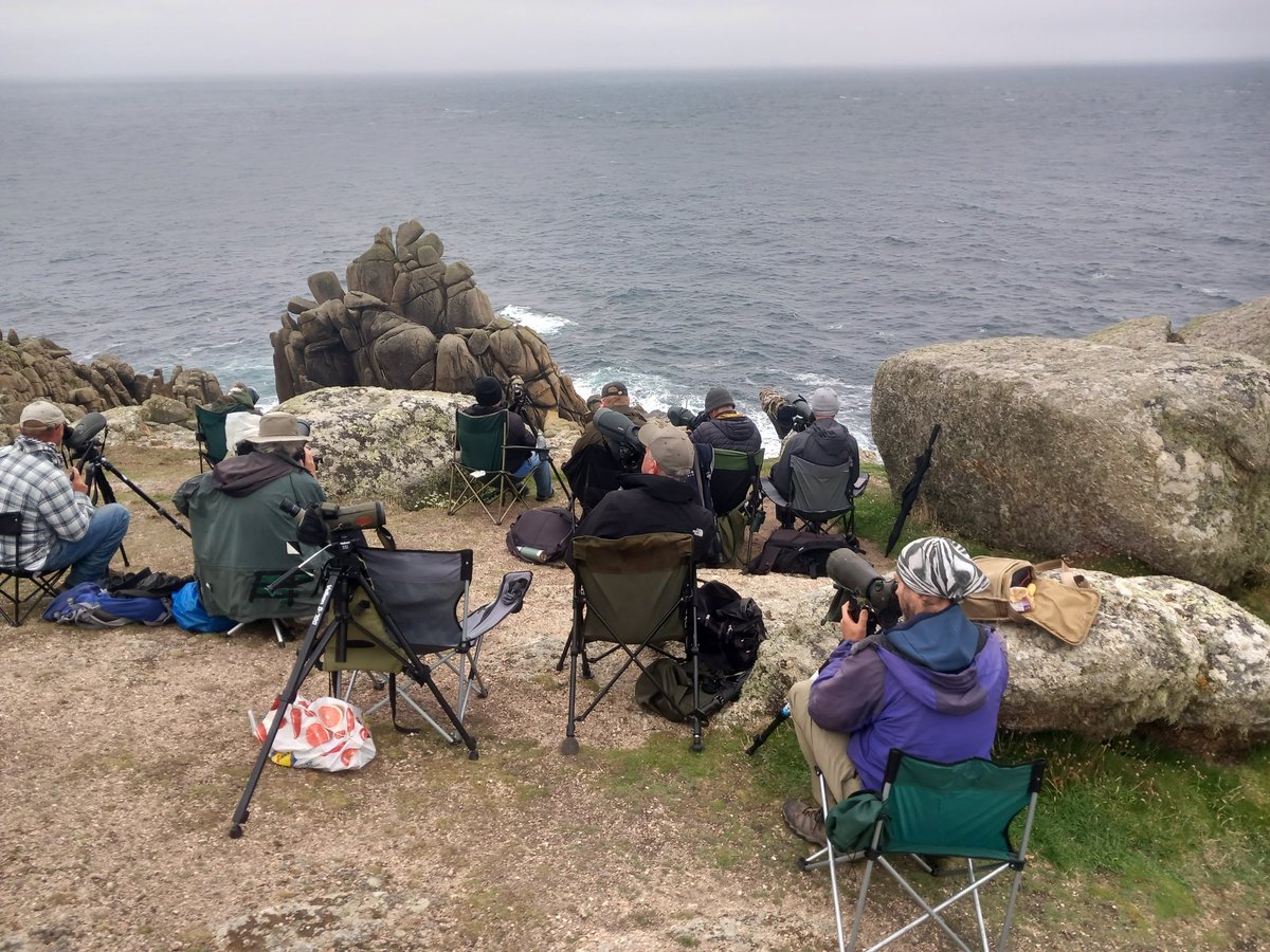 Porthgwarra totals 05:45 - 18:00 (clicker counted by <a href="/RunnelStone/">Steve Rogers</a> until 13:45 and myself subsequently)
Cory’s Shearwater 1339
Great Shearwater 9
Sooty Shearwater 93
Balearic Shearwater 21
Euro Stormy 94
Bonxie 3
Long-tailed Skua 1
Arctic Skua 4
Wilson’s Petrel 2

<a href="/CBWPS1/">Cornwall Birds</a>