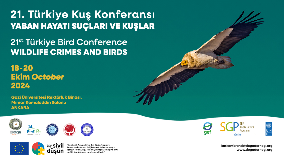 21. Türkiye Kuş Konferansı ‘Yaban Hayatı Suçları ve Kuşlar’ temasıyla 18-20 Ekim 2024'te Ankara'da gerçekleşecek.

Ulusal ve uluslararası uzmanların bir arada bulunacağı konferansla hem kuş gözlemcilerinin ve doğa korumacıların hem de karar vericilerin konu hakkında farkındalık