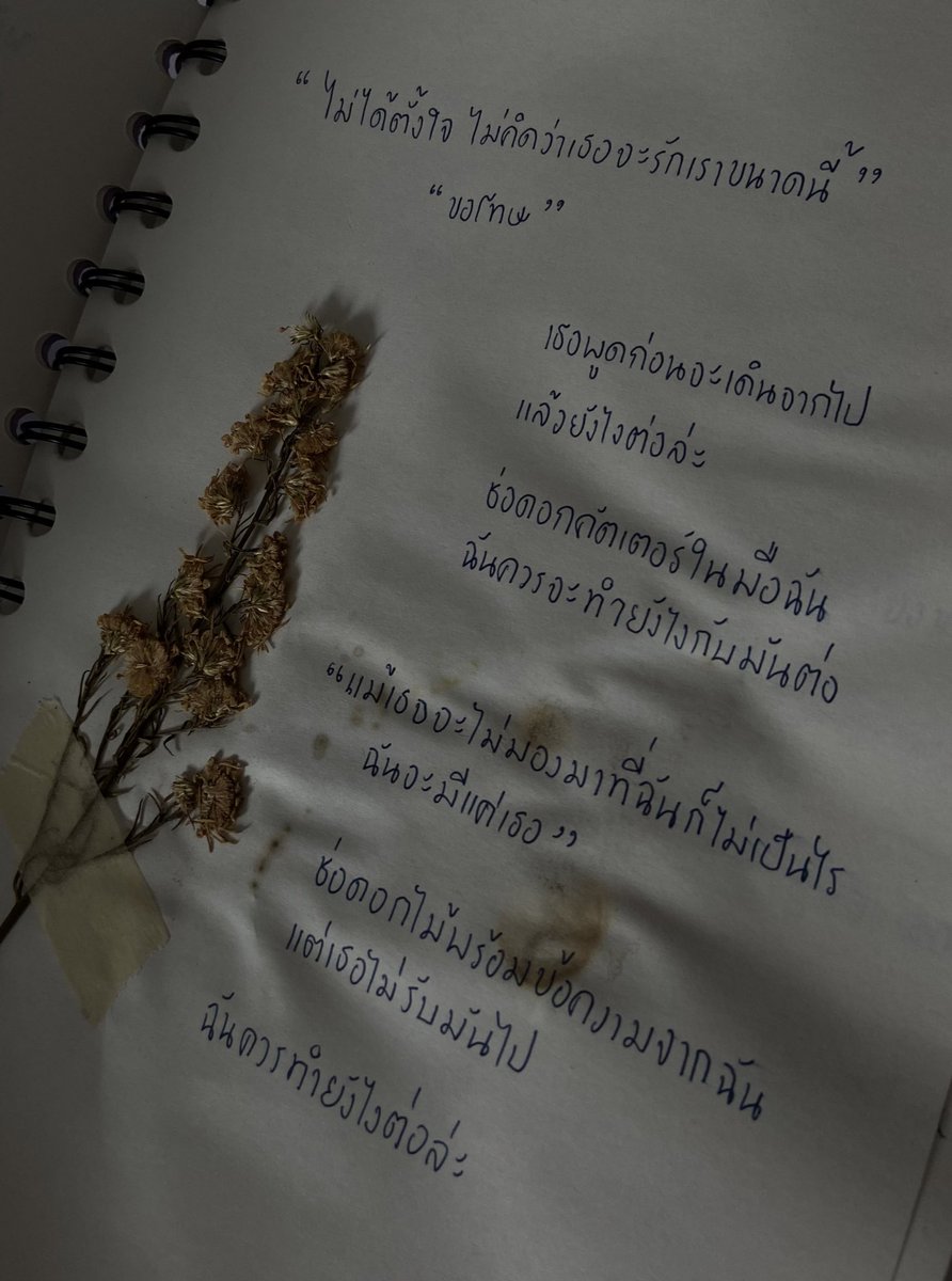 แสนรักฉัน tweet media