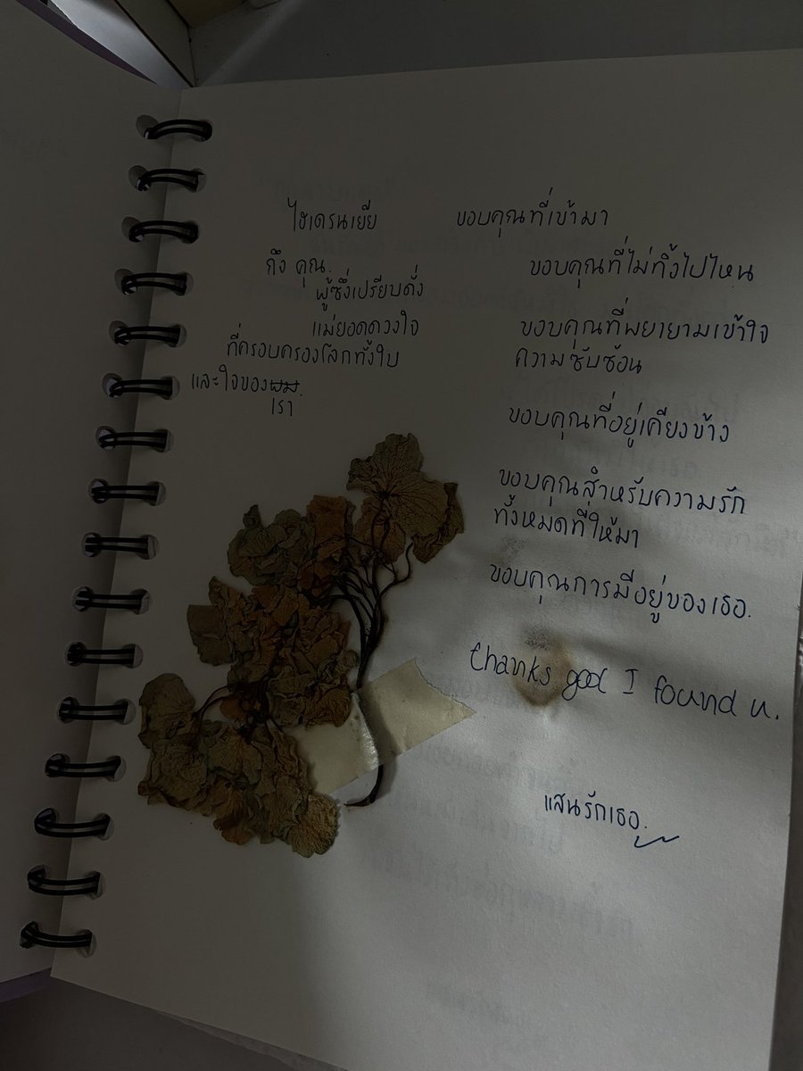 กว่าจะมาเป็นแสนรัก
เปิดอ่านบันทึกเก่า ๆ แล้วก็อดนึกถึงไม่ได้