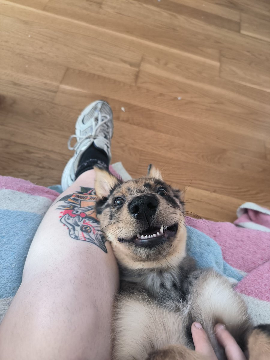 nojoderme's tweet image. Ni media neurona en esa cabecita