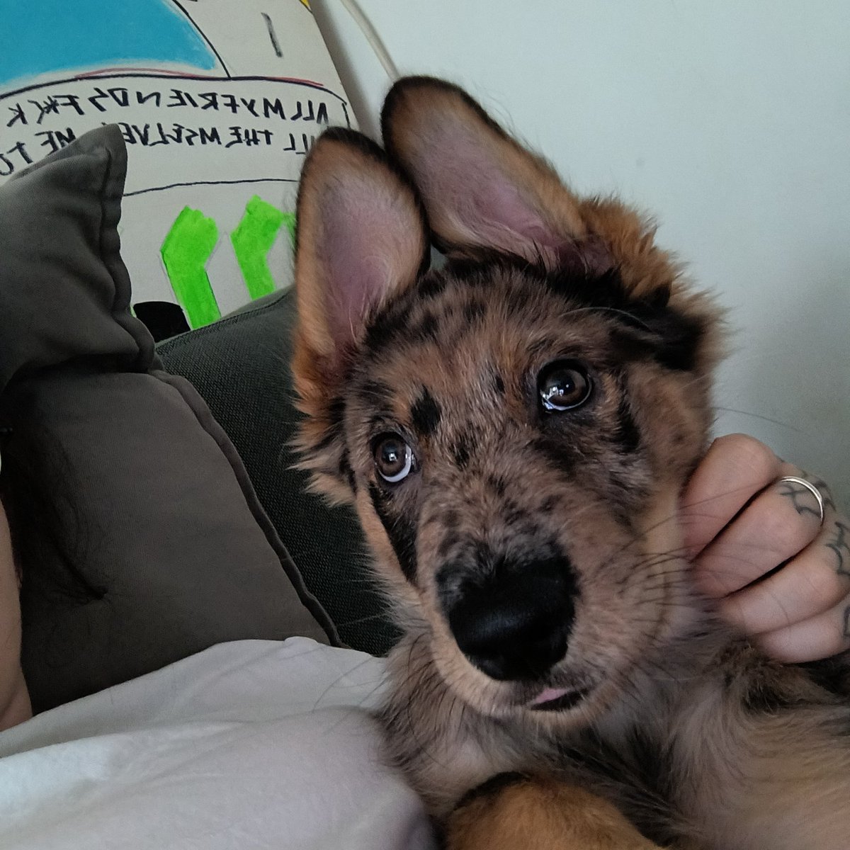 nojoderme's tweet image. Ni media neurona en esa cabecita