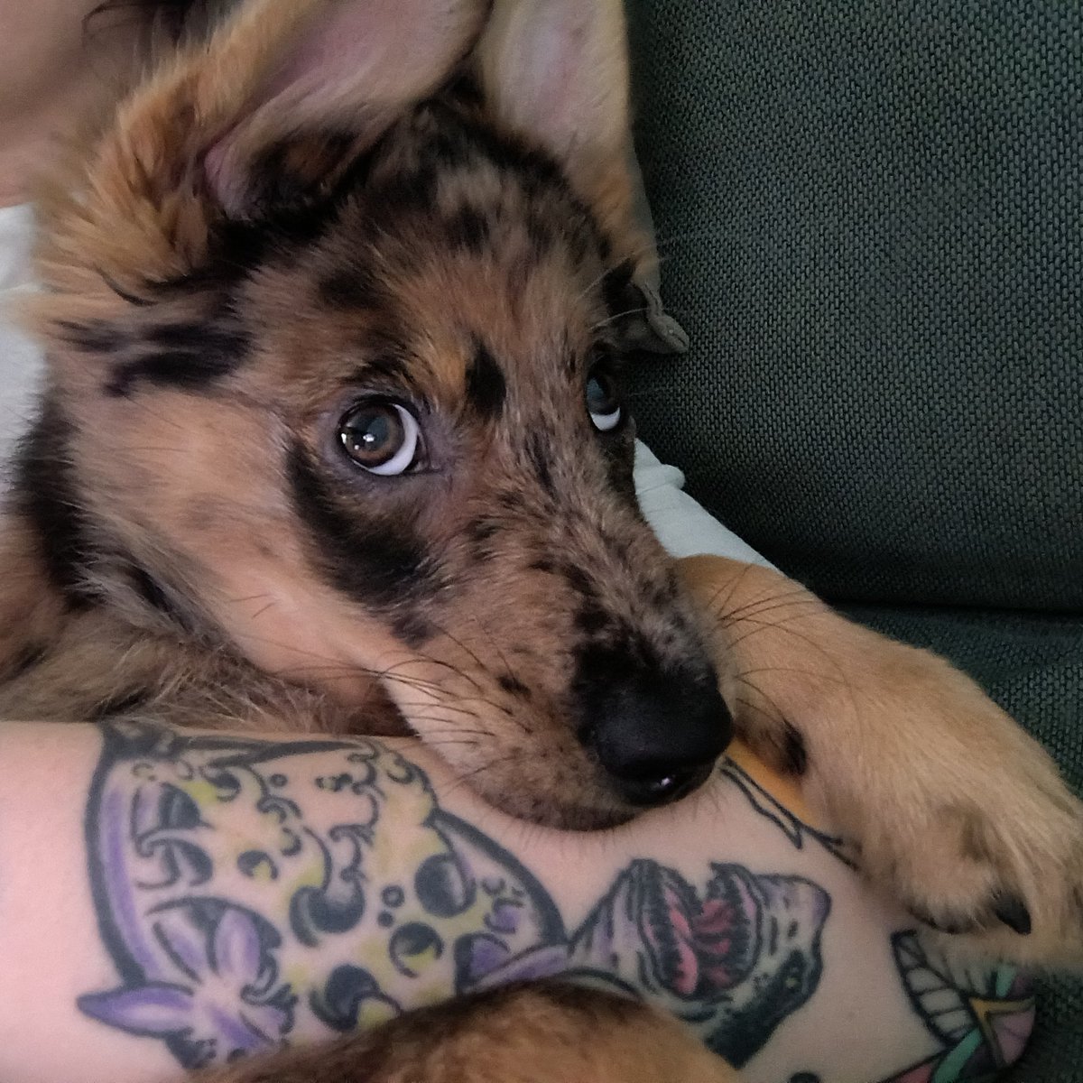 nojoderme's tweet image. Ni media neurona en esa cabecita