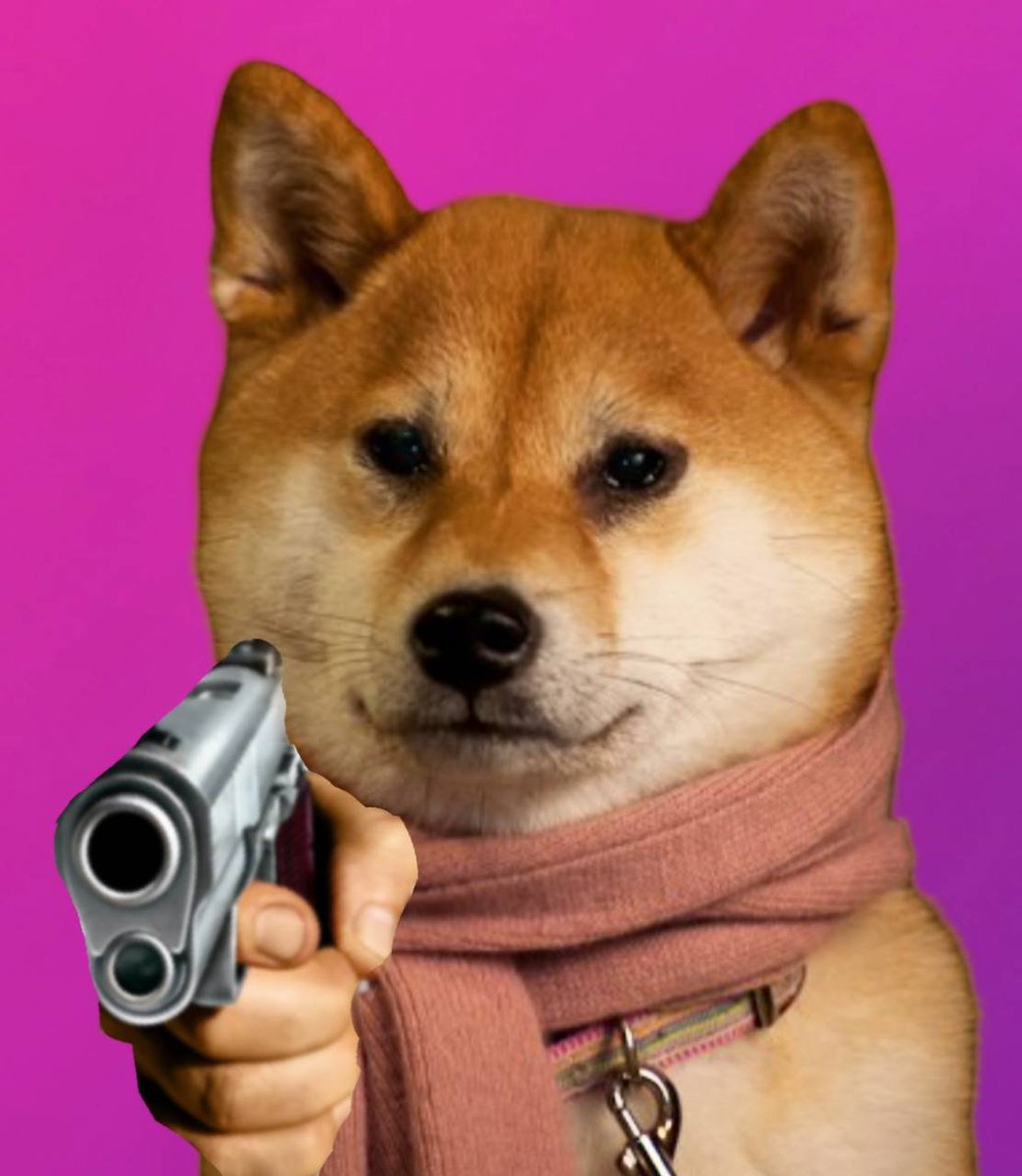 SukiTheDog_'s tweet photo. You mess with the Shiba, you get the scarf https://t.co/tBDwDFfMRC