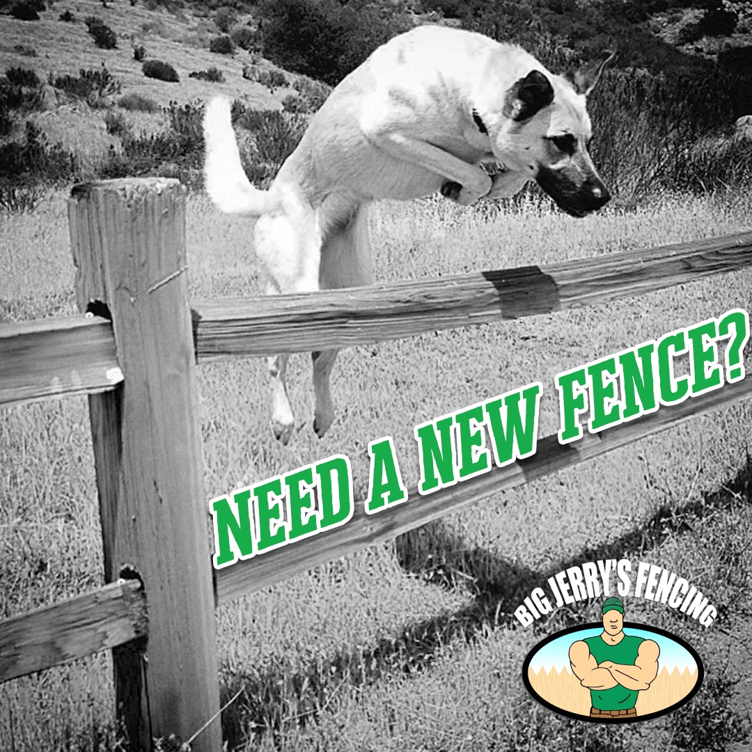 BigFencing's tweet photo. https://t.co/3iXmfDxBDv
