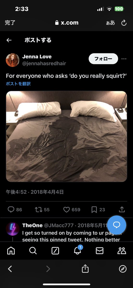 とりにく tweet media