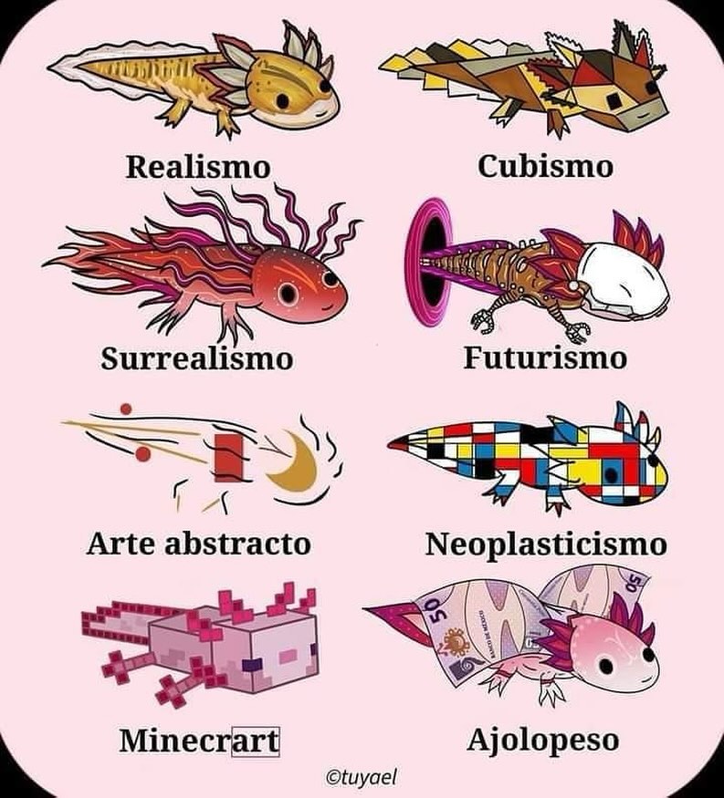 Enséñame de Ciencia (@ensedeciencia) on Twitter photo 