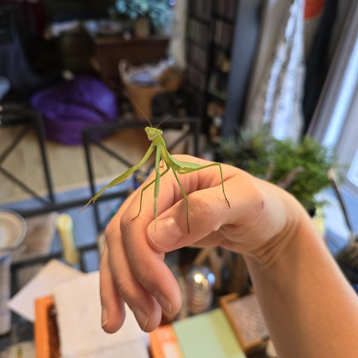 kelsey wailes🐳 tweet media