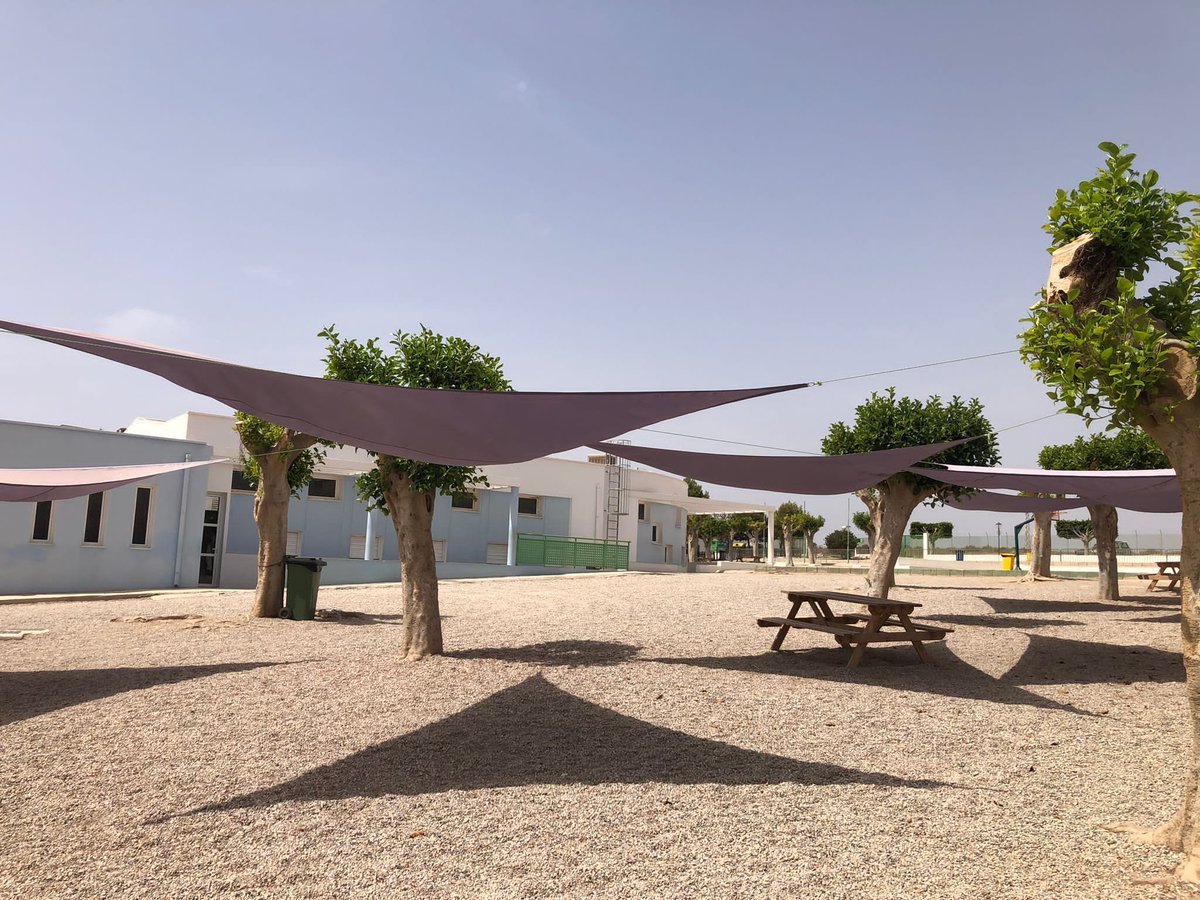 Foto lugar Almeria (mucha sombra,ironía) de una amiga podadora.Nuevo estilo de poste para sujetar toldos,no necesita hormigón,solo 40 años de desarrollo del sistema radical de los árboles desmochados <a href="/aearboricultura/">AEArboricultura</a> <a href="/ISAhispana/">¡Arboricultura!</a> <a href="/ArbolAMA/">AMA Arboricultura</a> <a href="/alcanduerca/">Raúl de Tapia Martin</a> <a href="/arbopalm/">Jacobo Llorens_Arbolista_Treerider</a> <a href="/Ana_CanoDelgado/">Ana I. Caño-Delgado</a>