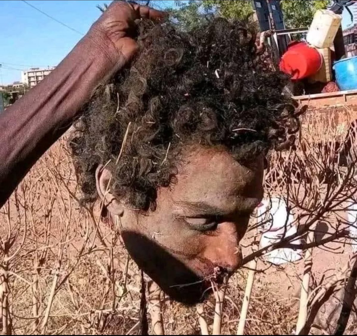 Ohadbd's tweet photo. @UNRWA The #UN should be shut down! 
The #UN continues spreading fake news &amp; protect #jihadist murderers it nurtured in #Gaza - and closes its eyes when right now a #genocide continues in the Azwad district of #Mali &amp; all over #Sudan ! https://t.co/NHzWVew76A