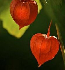 Gecemiz hayırlı ve güzel geçsin inşallah.