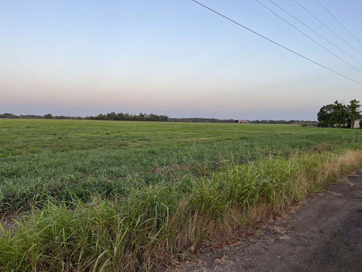 Grace Flusche Ogden tweet media