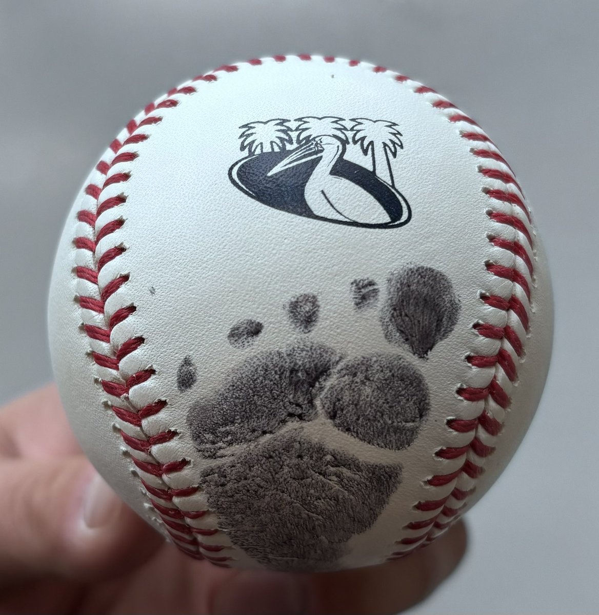LeaguesBaseball's tweet image. Almost all of the balls I post are part of my collection of gamers. Some are either prototypes or balls that Ive either traded or sold. This is none of those things. I’m excited to add a ball that transcends the collection.  Maybe one day this will be a thing I can do with my son