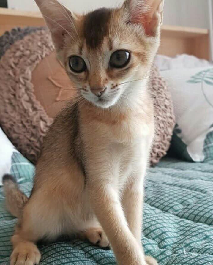 เรียกได้ว่ามาไกลทั้งคู่5555555555555555555555555