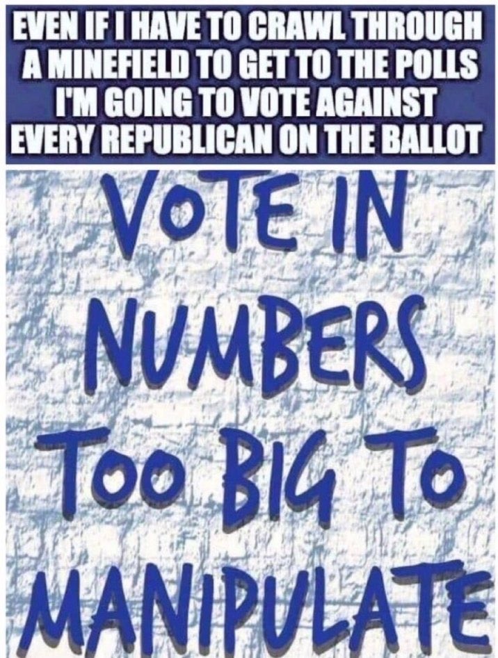 Elon's Musk tweet media