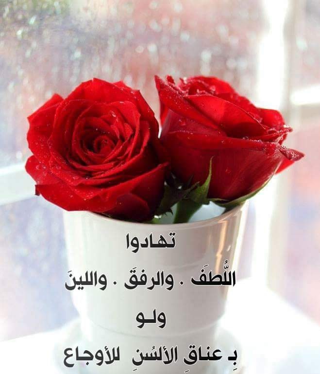 تهادوا اللطف ولو بحسن الكلام