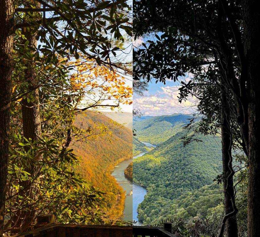 visitwv's tweet photo. Southern West Virginia has views throughout the seasons. #visitwv
https://t.co/6pjyxcu0OY https://t.co/LDNyzgNTK1