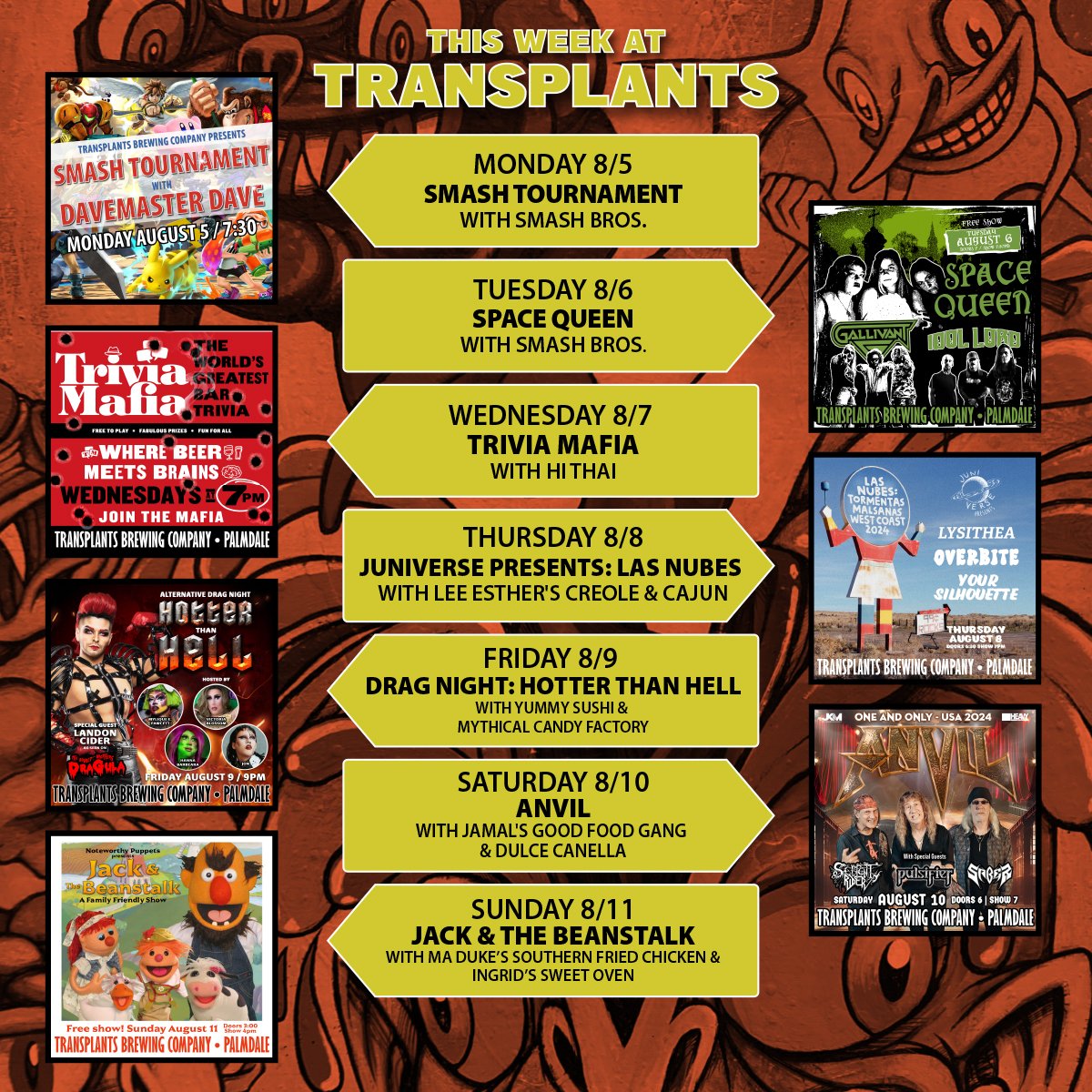 Transplants Brewing Company and Live Music Venue tweet media