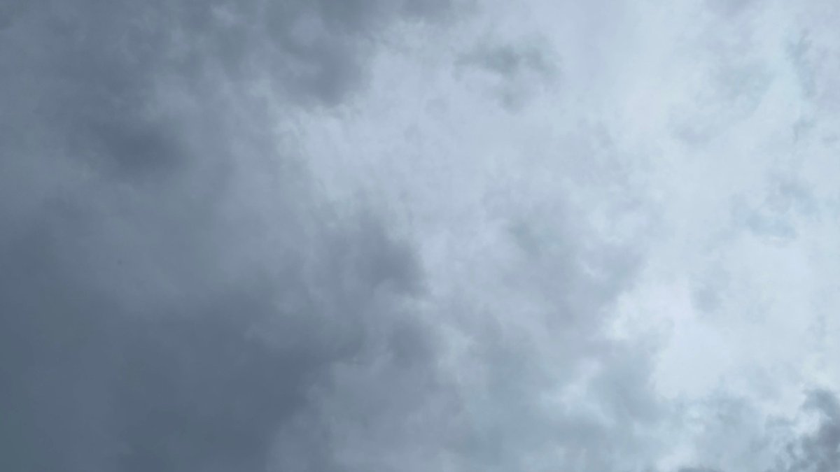 SC Commissioner Weathers: Preparing for Hurricane Debby
curtis.express-pro.socastcms.com/sfn-today/2024…