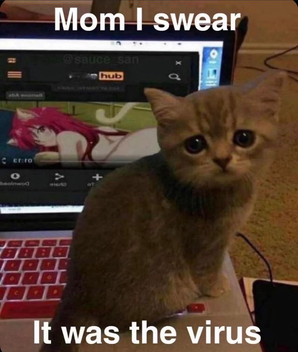 PunchingCat's tweet photo. https://t.co/gtMK9N49ph