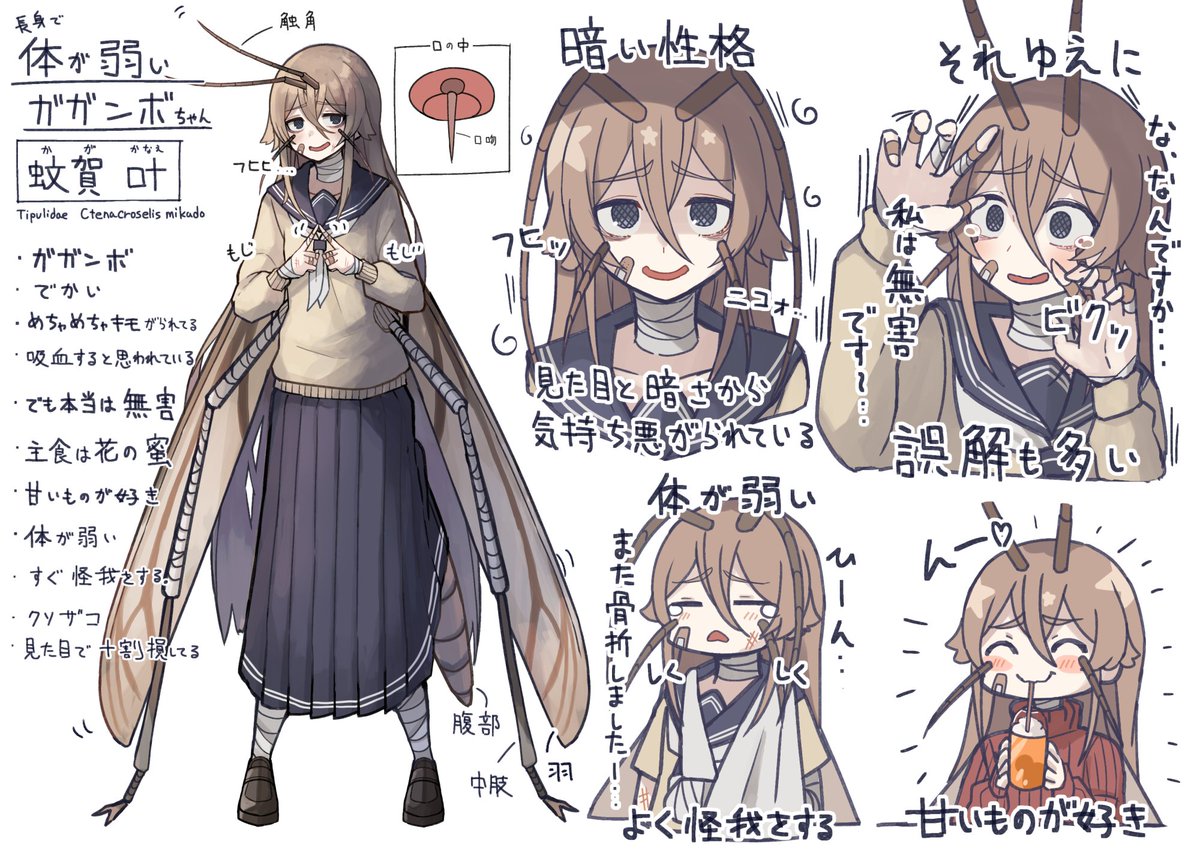 クソザコガガンボちゃん
