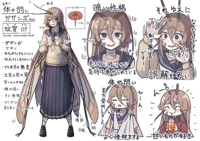 クソザコガガンボちゃん