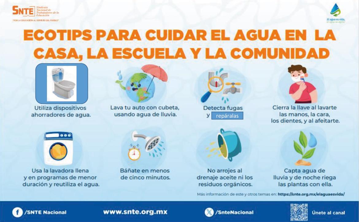 Seccion36Ofic's tweet photo. ¡𝗘𝗹 𝗮𝗴𝘂𝗮 𝗲𝘀 𝘃����𝗱𝗮, 𝗲𝗹 𝗮𝗴𝘂𝗮 𝘀𝗲 𝗮𝗴𝗼𝘁𝗮!

Este #5DeAgosto, Día Mundial del Agua Potable, te sugerimos ocho consejos para cuidar el vital recurso.
🔗👉https://t.co/6PAG5Oeux6
#CuidemosElAgua💧 https://t.co/Jlk9tTDb2y