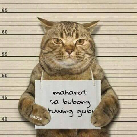 ThatDirtyLion's tweet photo. @Gjappy @Ze_Ink https://t.co/4dG1LsK8ba