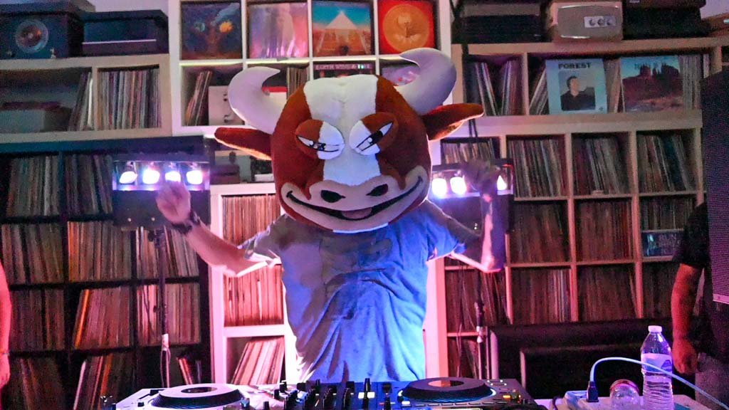 The_Dj_MuMu's tweet photo. This is how the fuck we get down in Arizona!
Fun fact - it gets so hot in AZ that when the bass drops, panties just melt right off of these girls asses!
$mumu
@mumu_bull @The__Solstice @__Lorso @elonmusk @tranc3y 
@DotComParker @Fisto420 @FrilledNek @mooningbull 
#SolanaSummer https://t.co/HUyuyA2uDo
