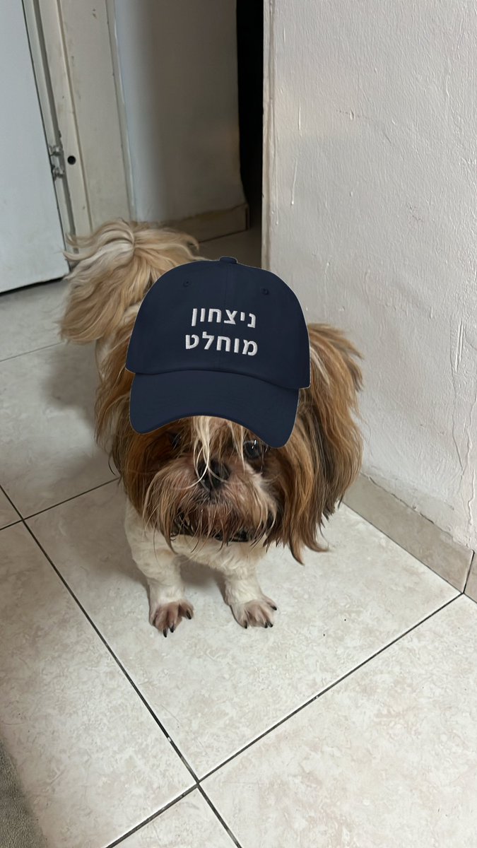 _anaell's tweet photo. טוי מגל https://t.co/HUTbrtvIQt