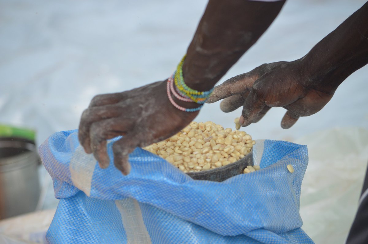 hrrds_s's tweet photo. Some exciting news! 
Today, thanks to your incredible support, we distributed our first batch of food and non-food items to displaced communities in Lazareck, Nuba Mountains. Thank you for standing with the displaced communities! #Sudan https://t.co/k5328ZYf6k