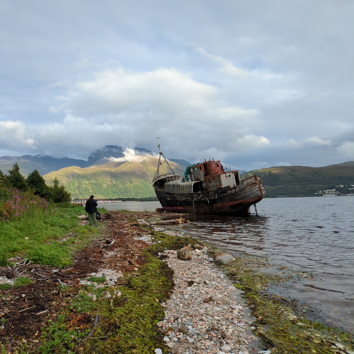 John Sneddon tweet media