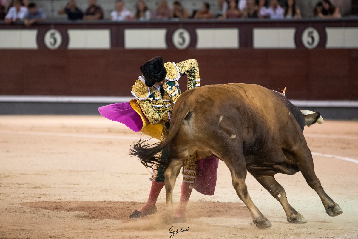 RaqiZurdo's tweet photo. Dos interpretaciones, la media verónica clásica y la media verónica belmontina, por Mario Navas.

El beber de diferentes fuentes, antiguas y actuales hacen que la evolución y capacidad del intérprete sea mayor, de mayor riqueza y más completa.

Gana el arte, ganamos todos. https://t.co/Lzdhgmp1QU