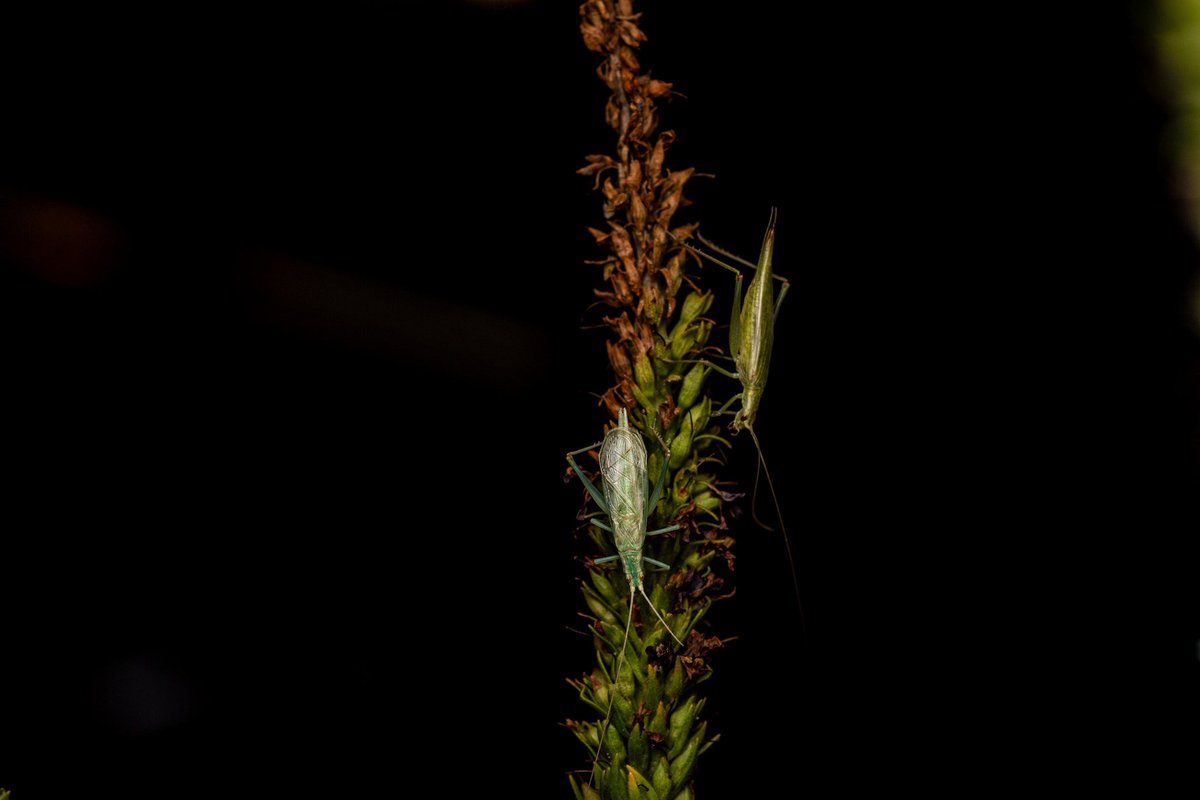 Josiah Kilburn tweet media