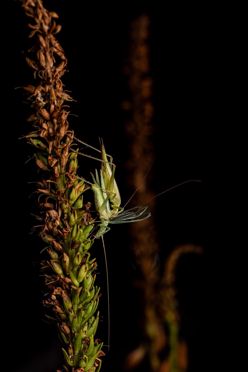 Josiah Kilburn tweet media