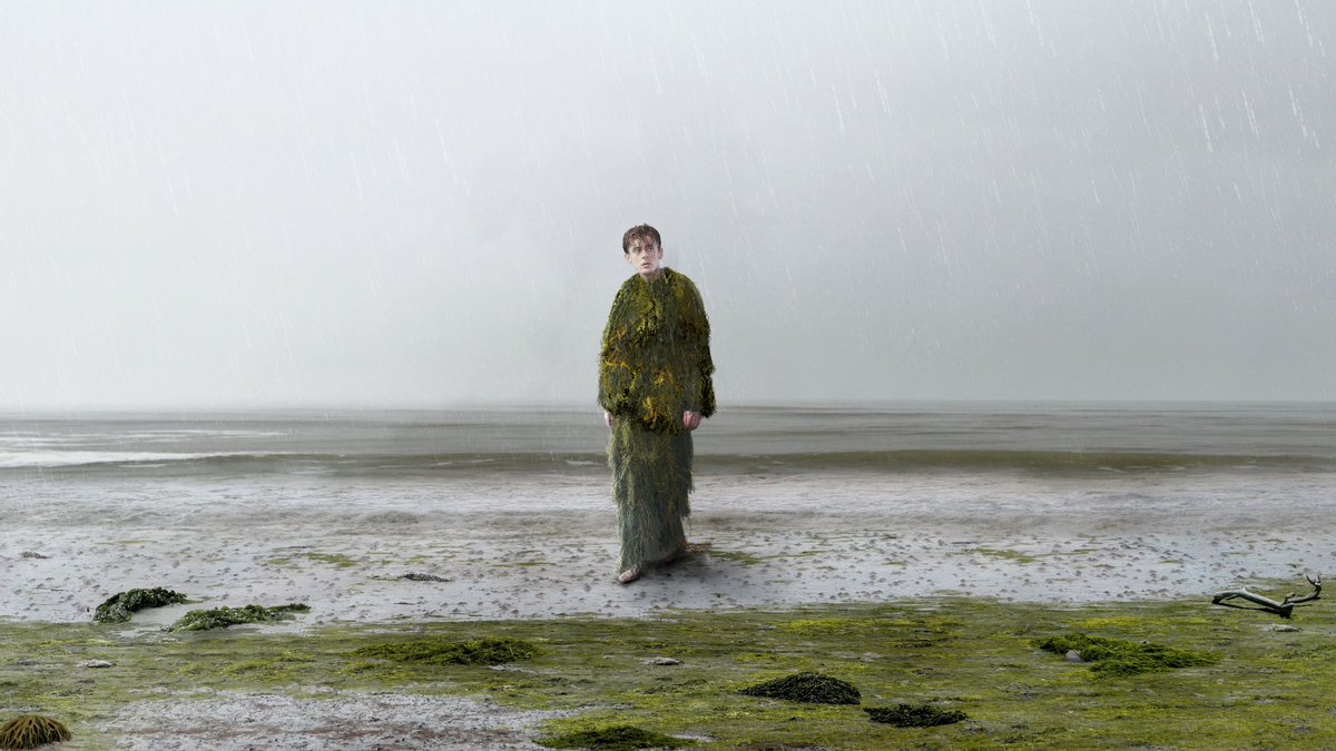 First Fringies tweet media