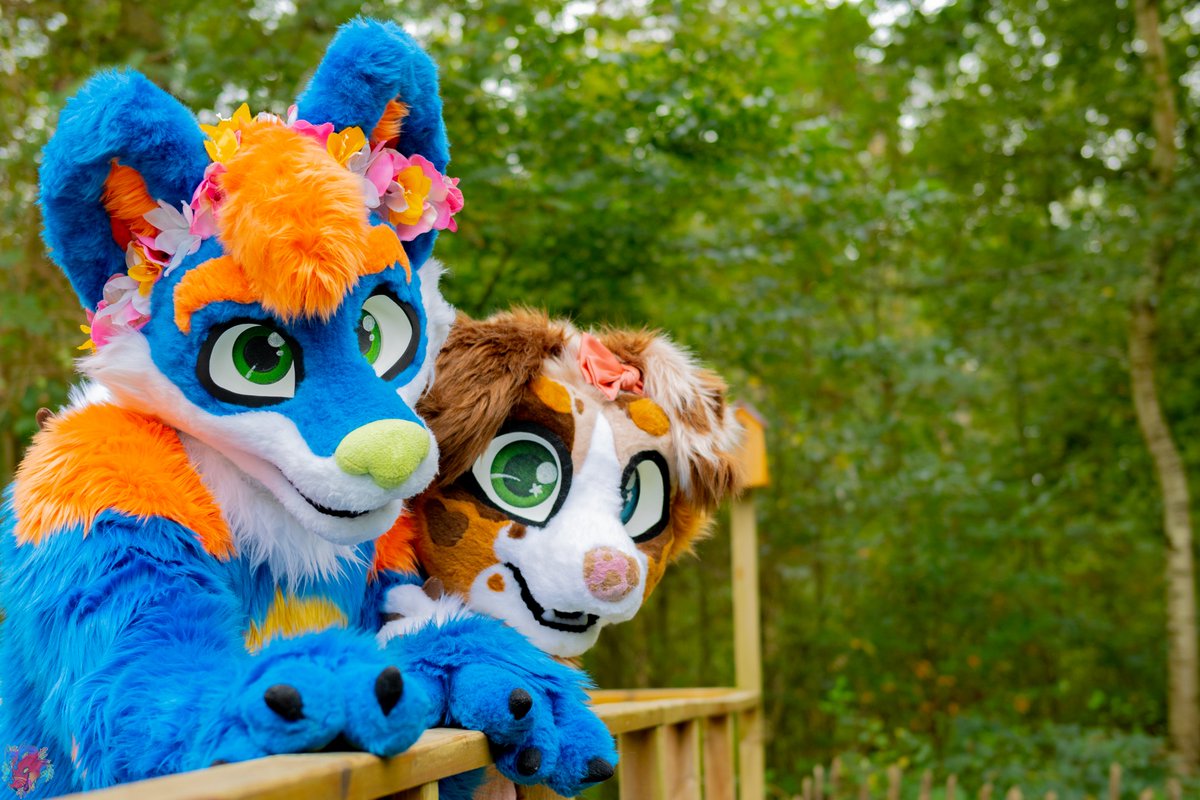 Who let this puppers out? 🤭🐾
Happy #miesdomonday all <3

#furry #fursuit