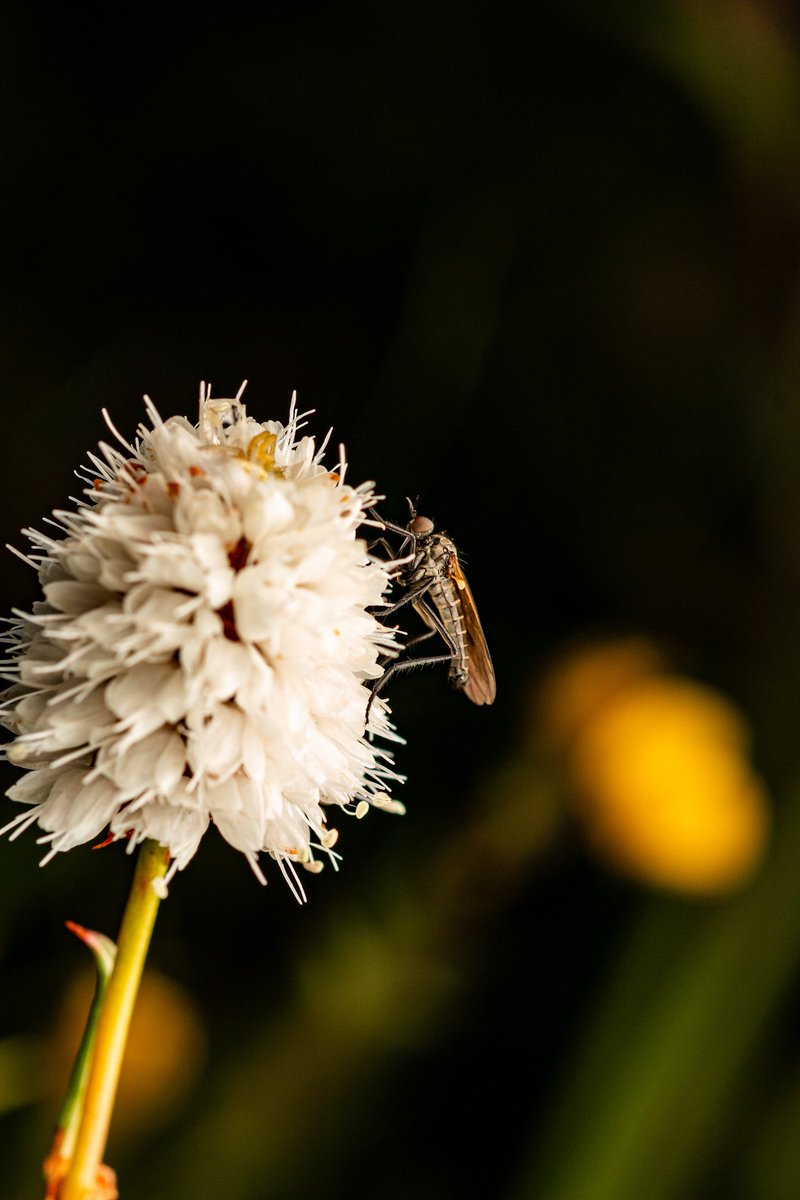 Josiah Kilburn tweet media