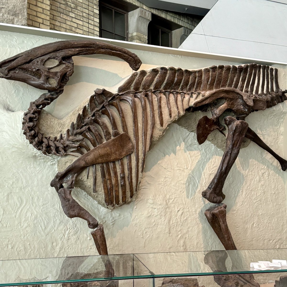 jpaudouy's tweet photo. Quilts and dinosaurs and that’s it for today.
#ROMToronto https://t.co/YG593MXu0L